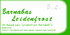 barnabas leidenfrost business card